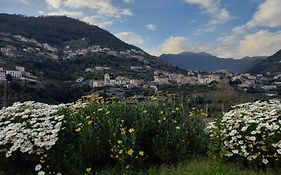 La Margherita Fiorita